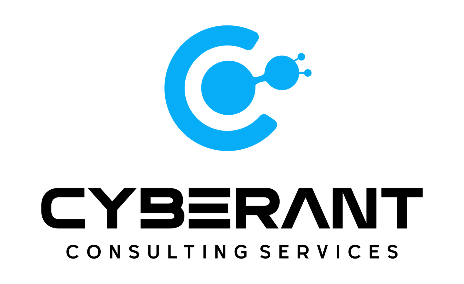 Cyberant Consulting Services